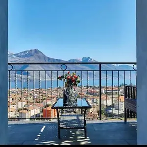 Ulivi On The Apartment