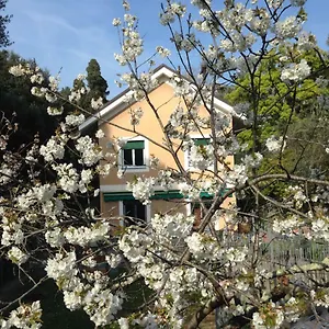 La Rosa Segreta Genua